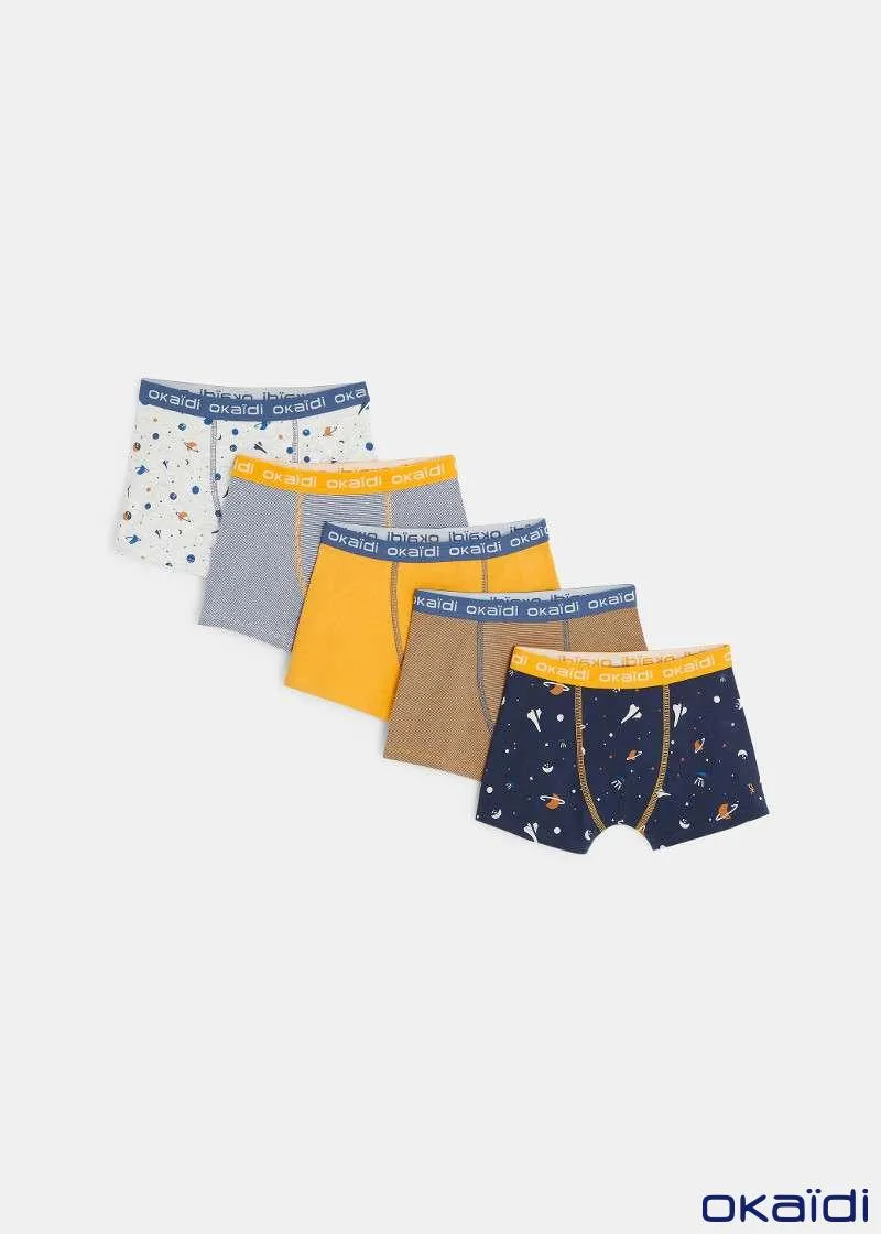 ДОЛНА ОБЛЕКА 