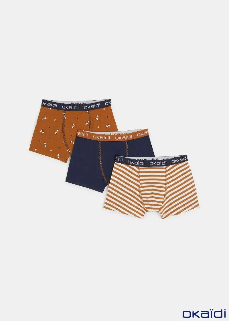 ДОЛНА ОБЛЕКА 