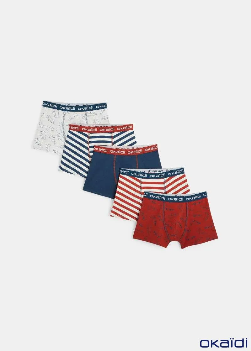 ДОЛНА ОБЛЕКА 