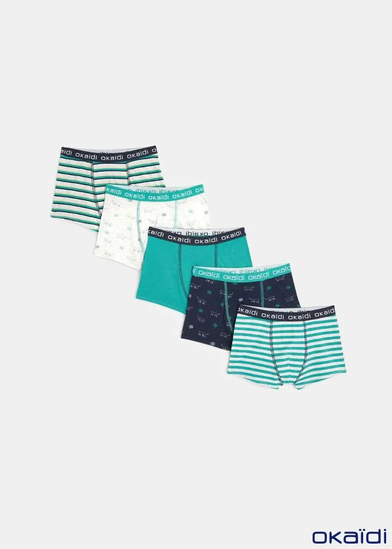 ДОЛНА ОБЛЕКА 