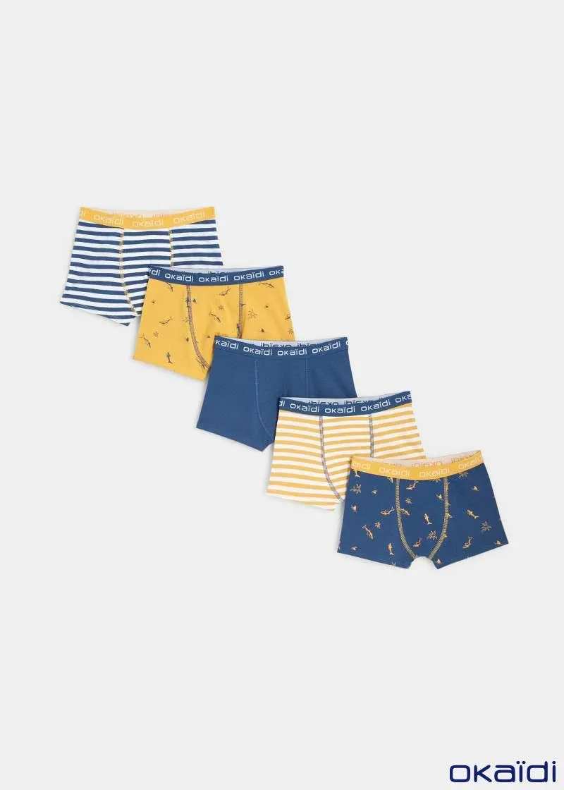 ДОЛНА ОБЛЕКА 