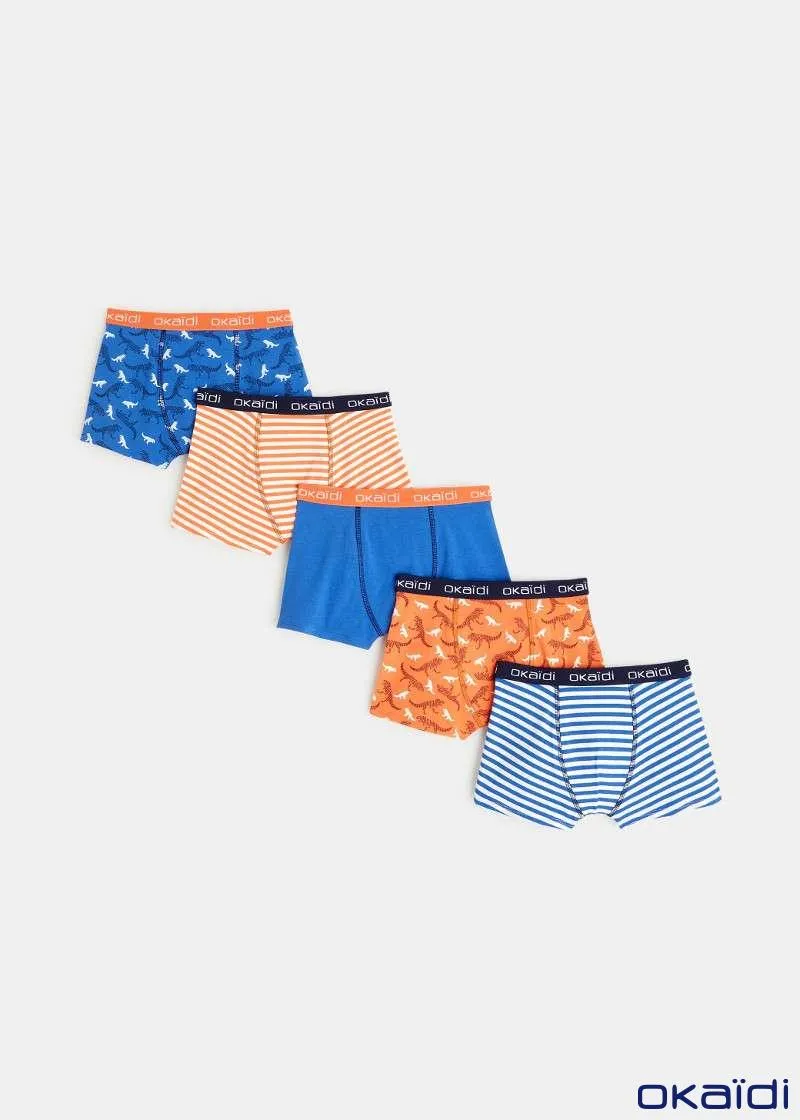 ДОЛНА ОБЛЕКА 