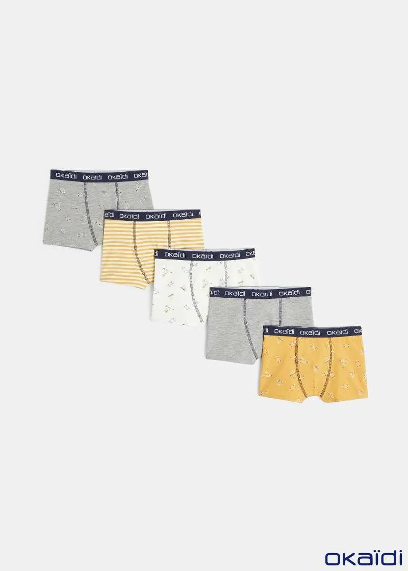 ДОЛНА ОБЛЕКА 