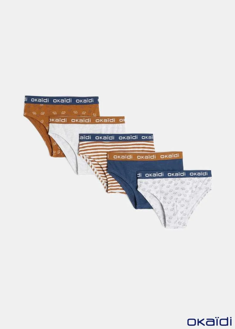 ДОЛНА ОБЛЕКА 